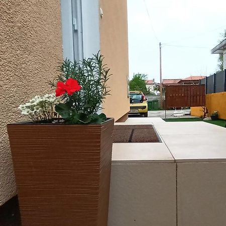 Apartman Sandra -Private Parking And Garden Задар Екстер'єр фото